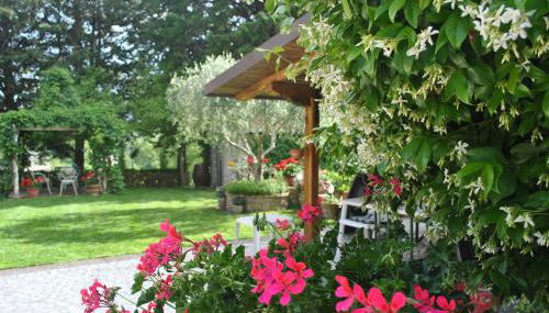 Villa Le Casaline - Foto 4, Garden