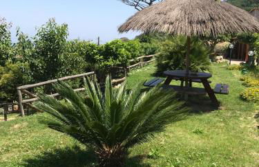 Agriturismo del Sole - Foto 55