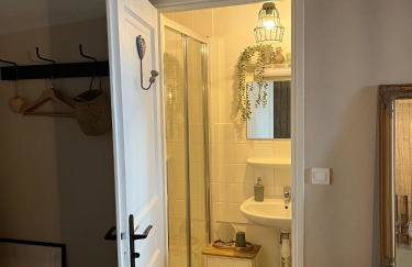 La Maison aux volets bleus 37 m3, Bords de Saône - Foto 26