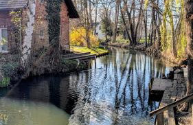 Ferienhaus Fließ Paradies mit privatem Saunahaus - Leipe, Spreewald - Foto 7