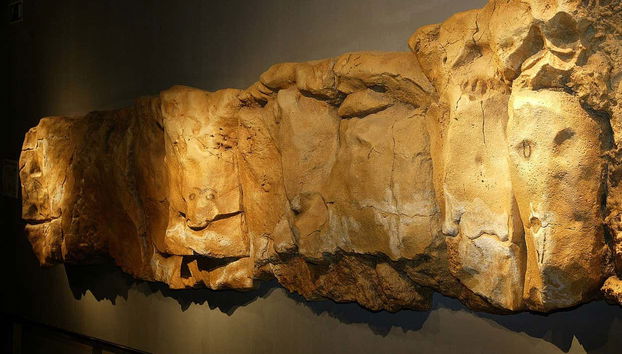 Visita guiada por la Neocueva y Museo de Altamira - Photo 2