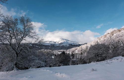 5 Star Shepherds Hut in Betws y Coed with Mountain View - Foto 25