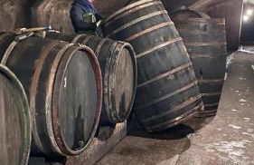 Ferienwohnungen Dr Wagner - Photo 5