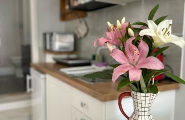 Studio Polvo - Foto 4