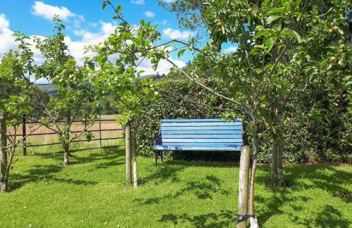 Ben Ledi View - Photo 18