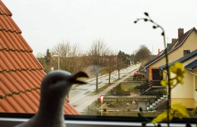 Restful Apartment in Neukloster Germany near Lake - Foto 14