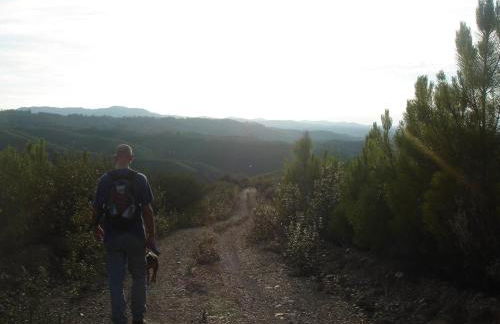 Vale de Garcia AL 5357 - Foto 54