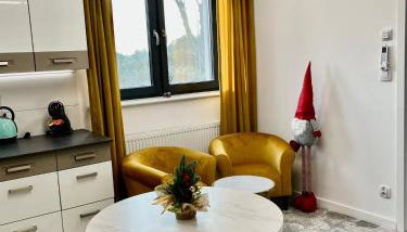 Apartament LuMi - Foto 5