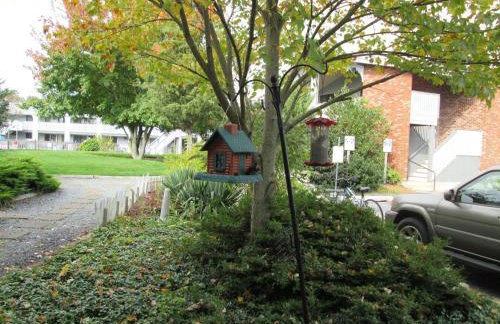 Eastwood at Provincetown - Foto 22