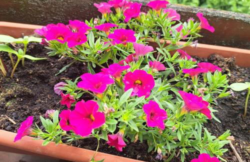 Relax Apartment Seenähe zum Kulkwitzer See - Photo 19