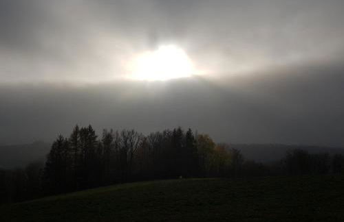 Ferienwohnung HAGEBUTZE Entspannung pur mit Sauna-Poolzugang - Foto 45