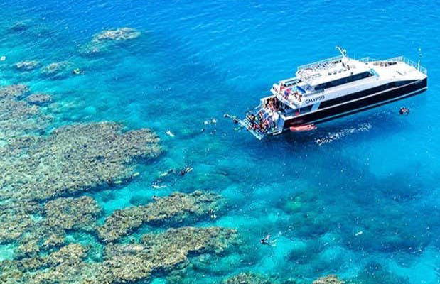 Snorkeling dans la Grande Barrière de Corail - Photo 2