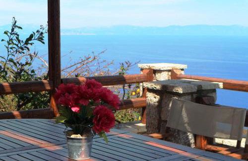 Dio Escapes Houses - Photo 16