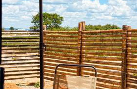 CANTO - Oasis Container - Foto 16