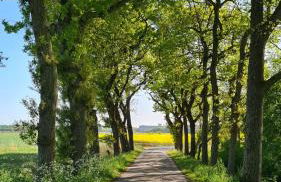 Ferienwohnung Baltrum auf dem Elisenhof Hagermarsch - Foto 19