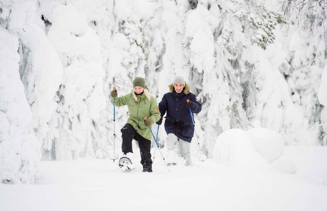 Tour con racchette da neve al Parco Nazionale Pyhä-Luosto - Foto 5