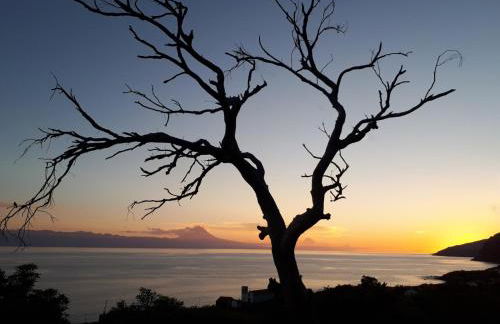 Casa Grão de Café AL - Photo 50