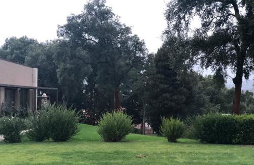 Bosque da Harmonia - Foto 39