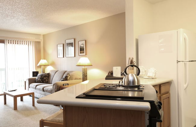 Indian Peaks Resort - Photo 37