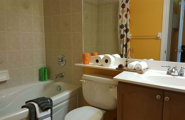 Kashaneh at Meridian - Photo 10