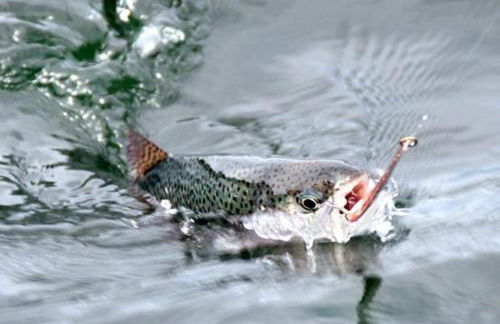 Villa Castro - Photo 76