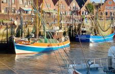 Plüschmors - Photo 23