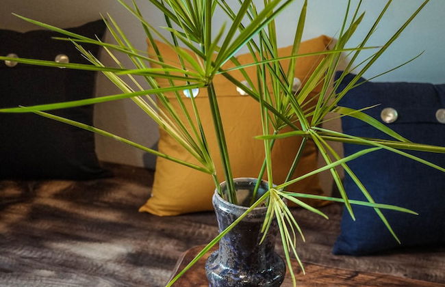 Maison Que - Foto 47