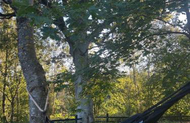 Powidoki Mazury - Foto 77