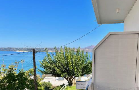 Cloudberry - Photo 4