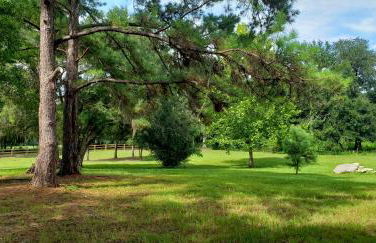 Little Ridge Ranch-East House Quiet Country Getaway-Pet Friendly! - Foto 37