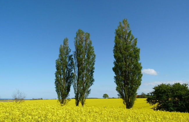 Achtern Diek Modern Retreat - Foto 13