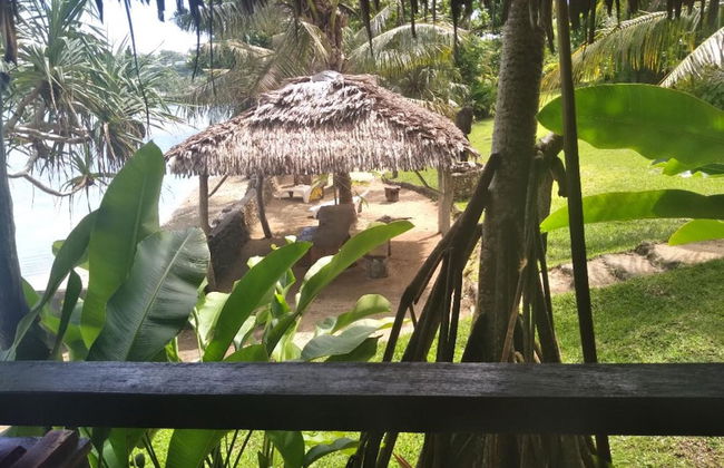 Troppo Mystique - Photo 56