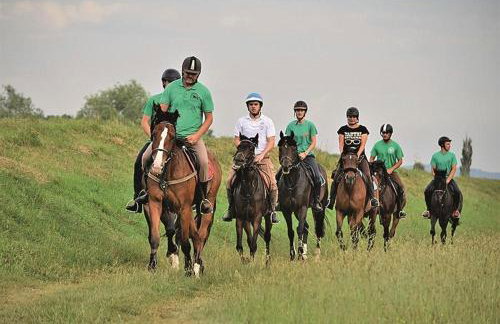 Apartman Gluić - Foto 20