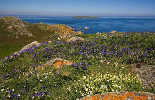 Forest Park HH No 4 - Foto 25