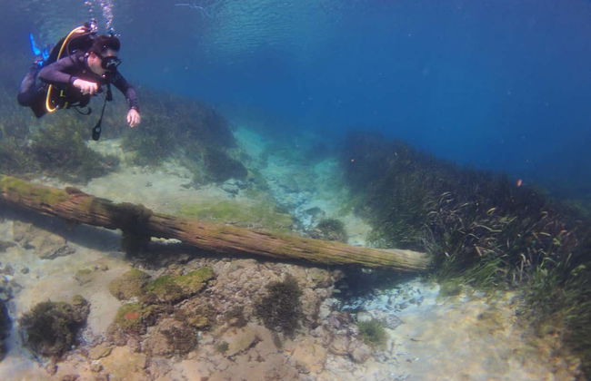 Immersione nel Rainbow River - Foto 6