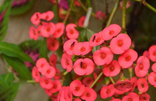 Recanto Sol e Lua - Foto 31