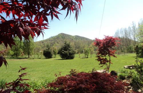 Two Rivers Cabins - The Mountaintop - Foto 14