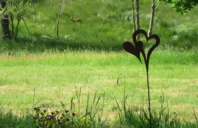 Holiday Apartment Hammergrund - Foto 27