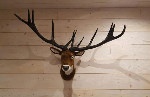 La Pinéguette maison 12 personnes spa 6 pers décoration chalet sauna 4 pers - Foto 15