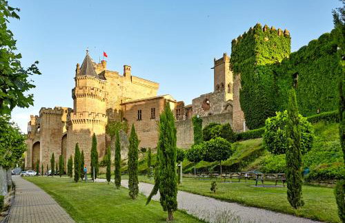 Apartamentos Ribera Navarra - Bardenas - Photo 35