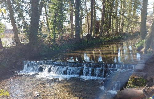 Squirrel Cottage - Foto 18