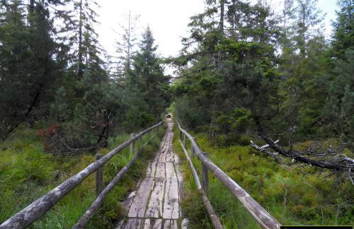 Haus Hubertus - Foto 10