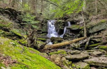 Unique and Private 25ft Waterfall House in Hunter - Foto 61