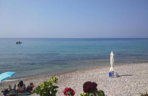 Villa Maria mola - Foto 47