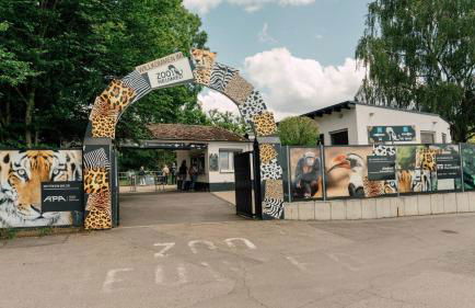 FeWo mit Terrasse Neuwied & Koblenz - Foto 27