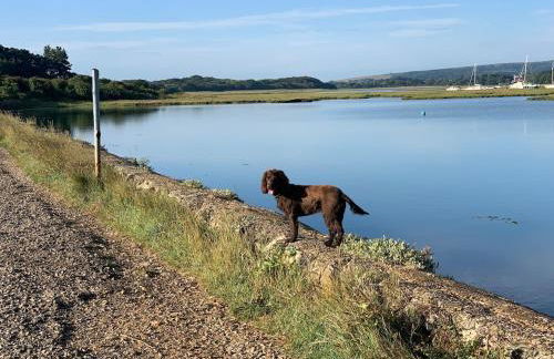 Centre of Yarmouth, Isle of Wight, sunny cottage - Foto 16