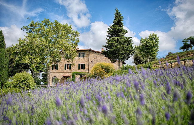 Luxury Chianti in La Rosa - Foto 15