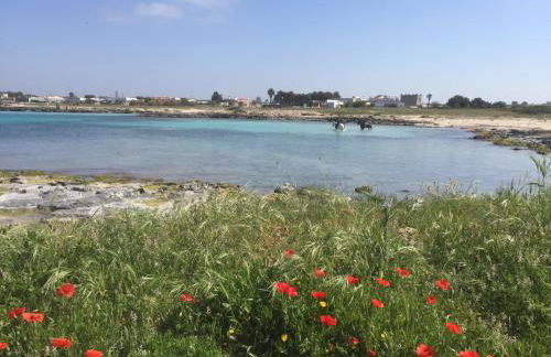 Porto Cesareo Sant'Isidoro Delizioso Trilo - Foto 38