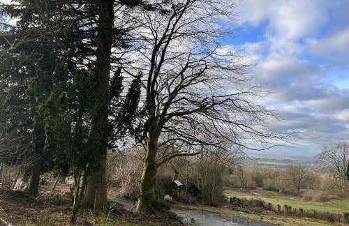 Bijou Cabin - Photo 5