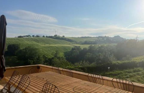 Vineyard Farmhouse in Massignano - Foto 53